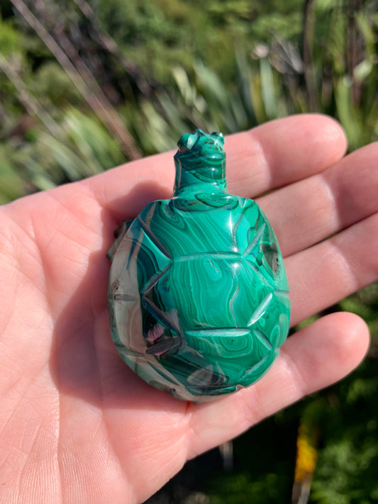 Malachite Carved Turtle