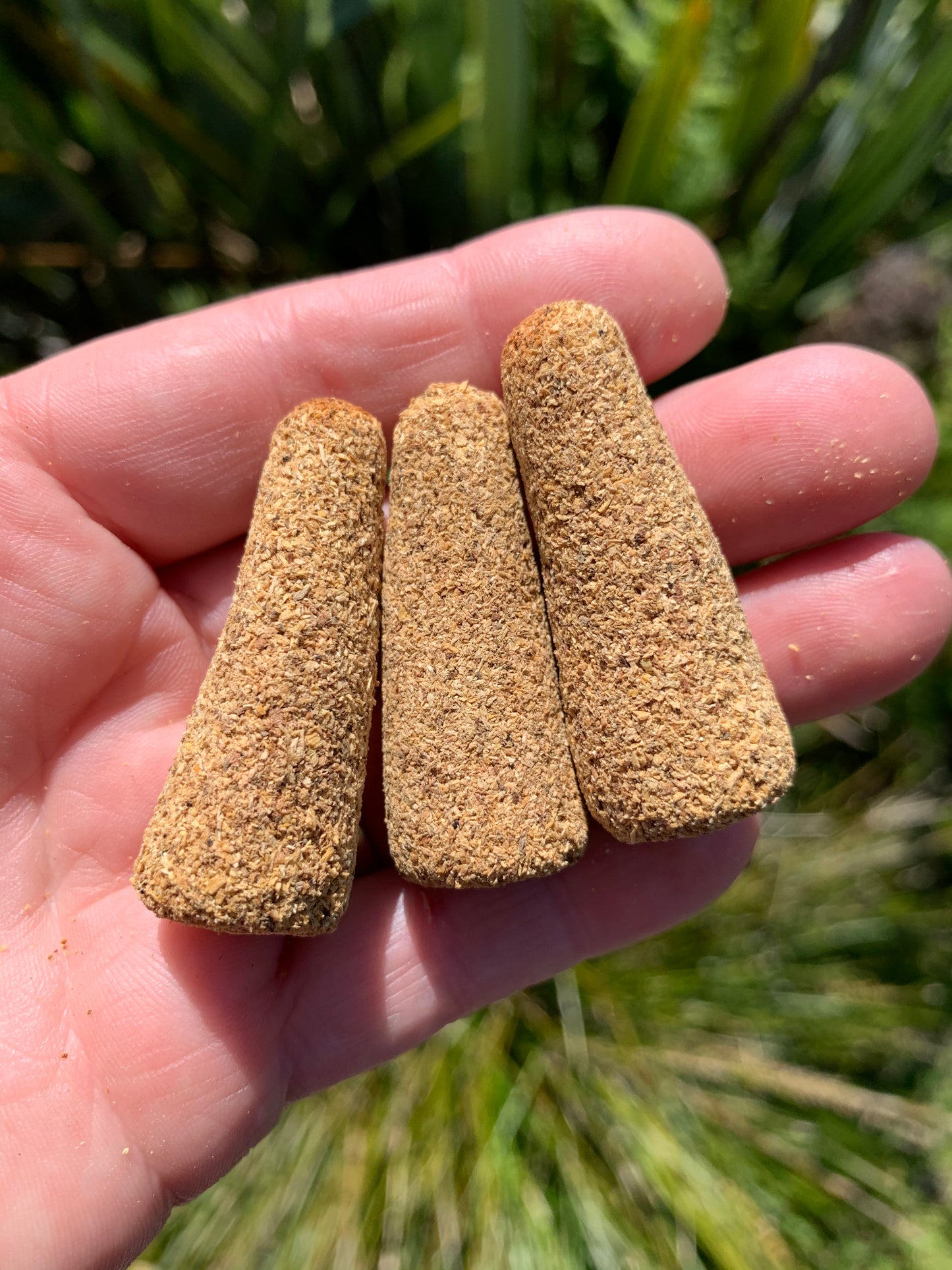 Palo Santo Cones, Packet of 5 Large Cones