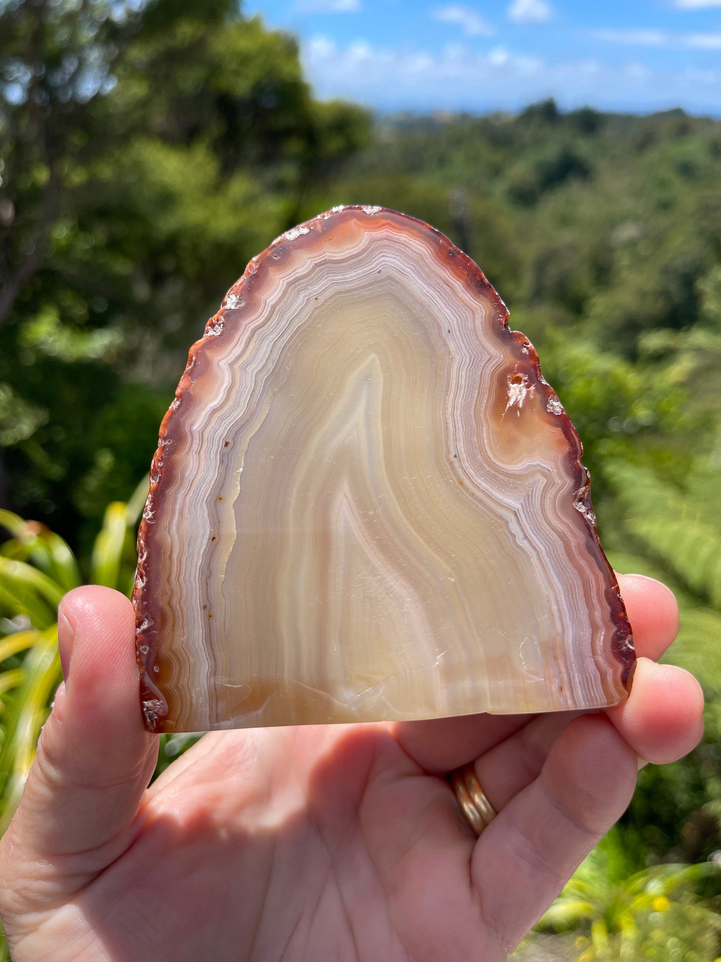 Carnelian Agate Slice