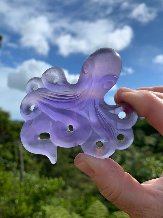 Purple Fluorite Octopus