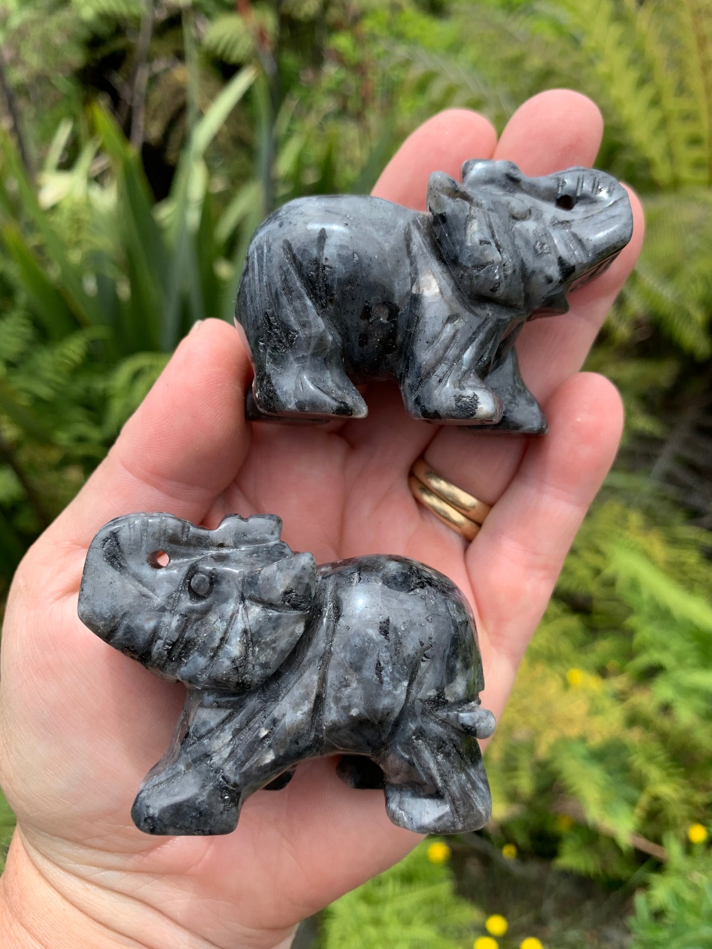 Cute Small Larkivite Elephant