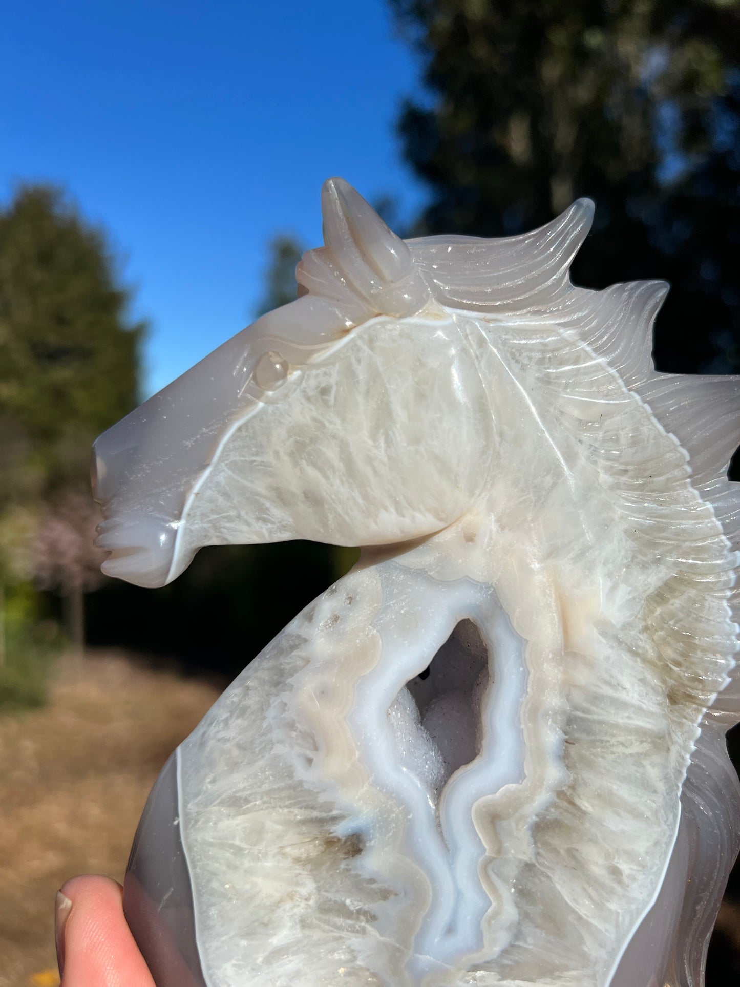 Blue Lace Agate Geode Horse Head