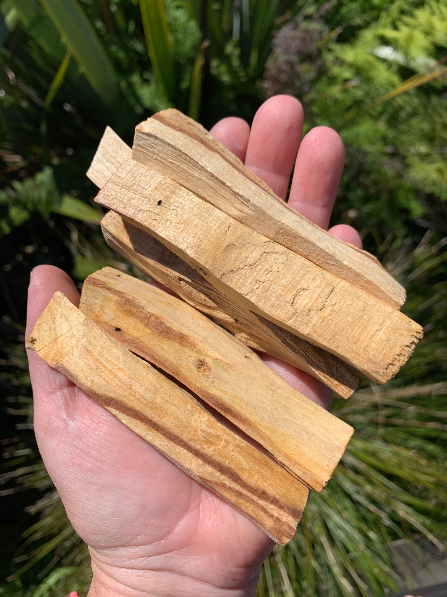 Palo Santo Stick, One Large