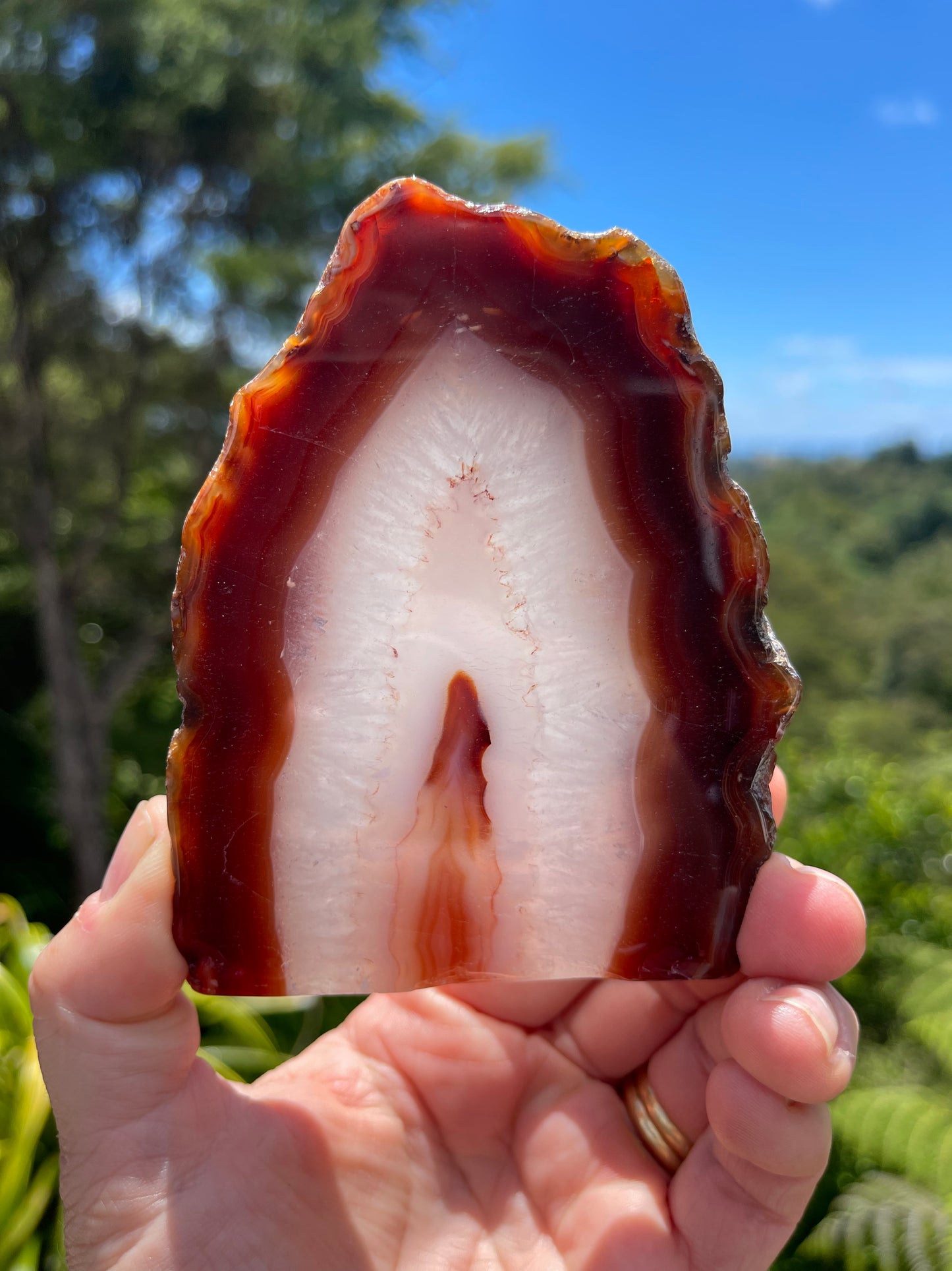 Carnelian Agate Slice