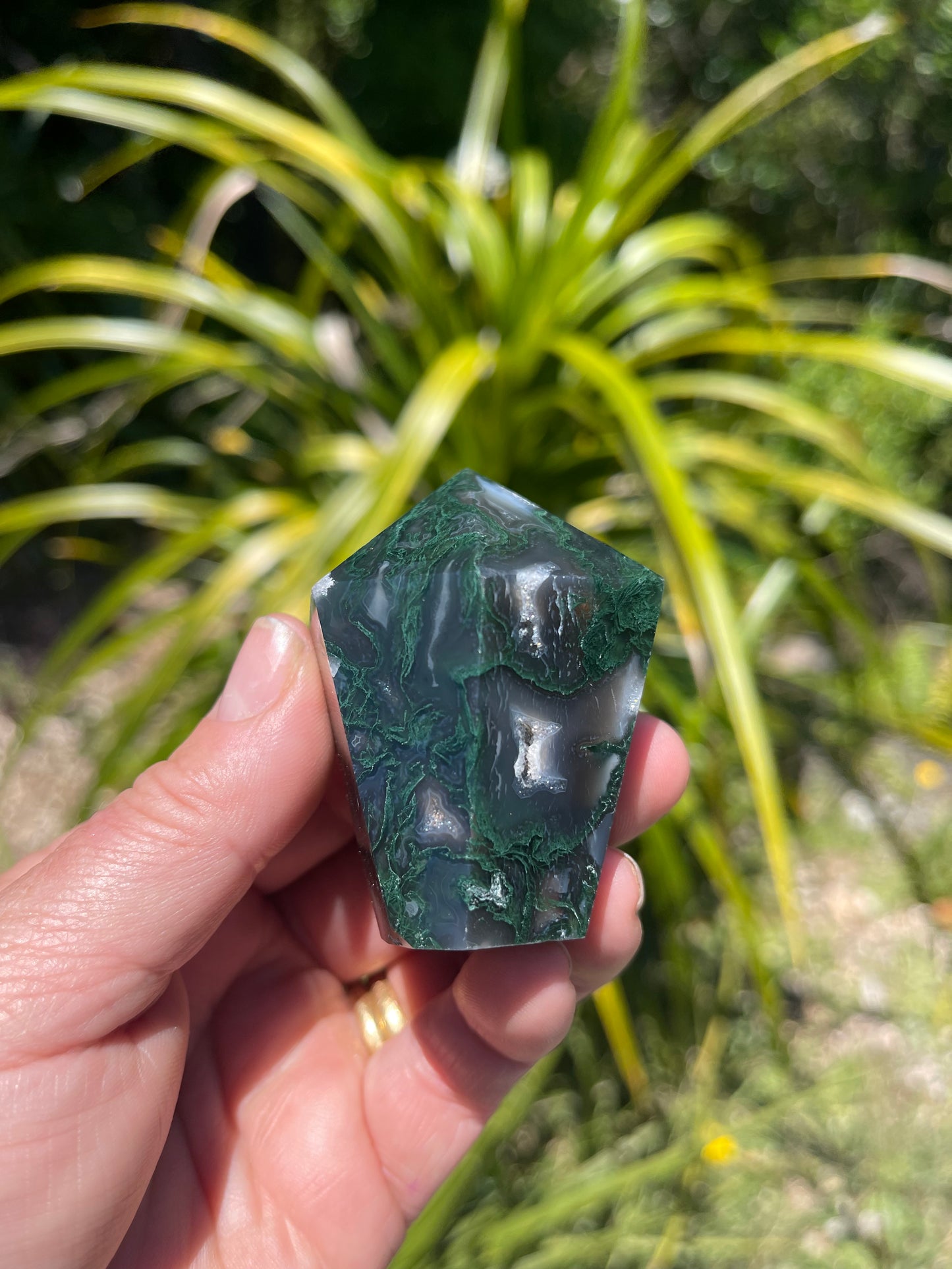 Moss Agate Point