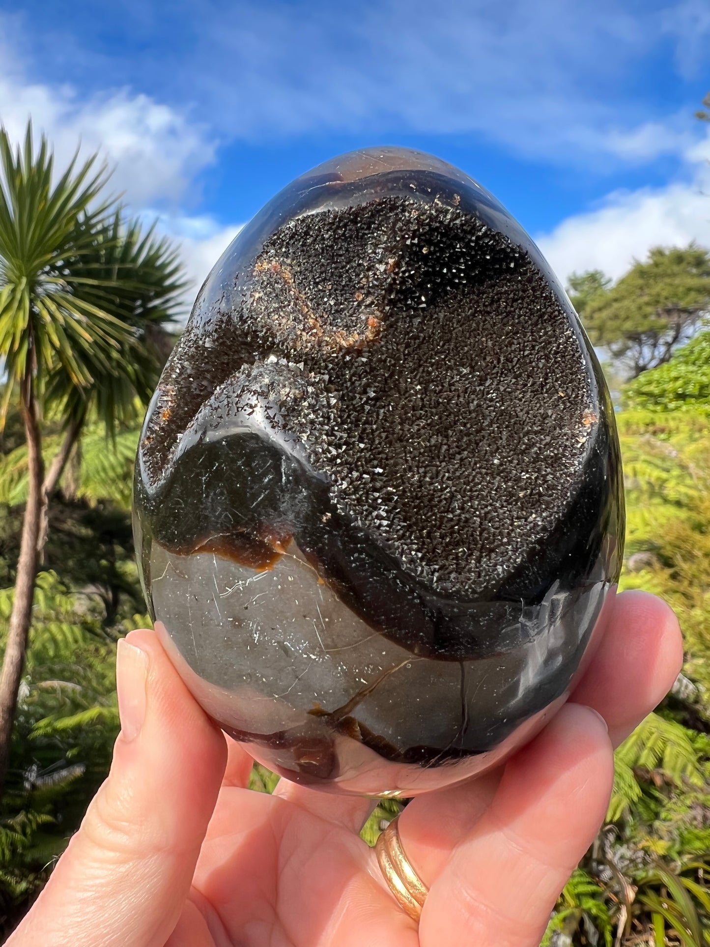 Septarian/Dragon Stone Egg