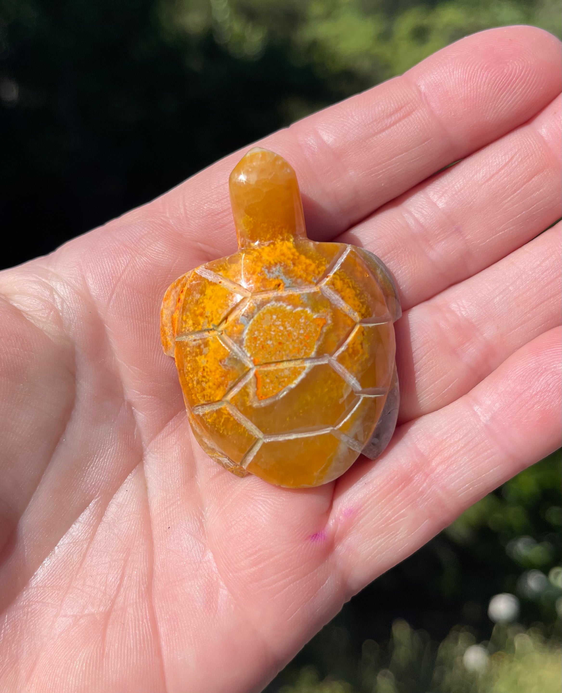 Gemstone turtle on sale