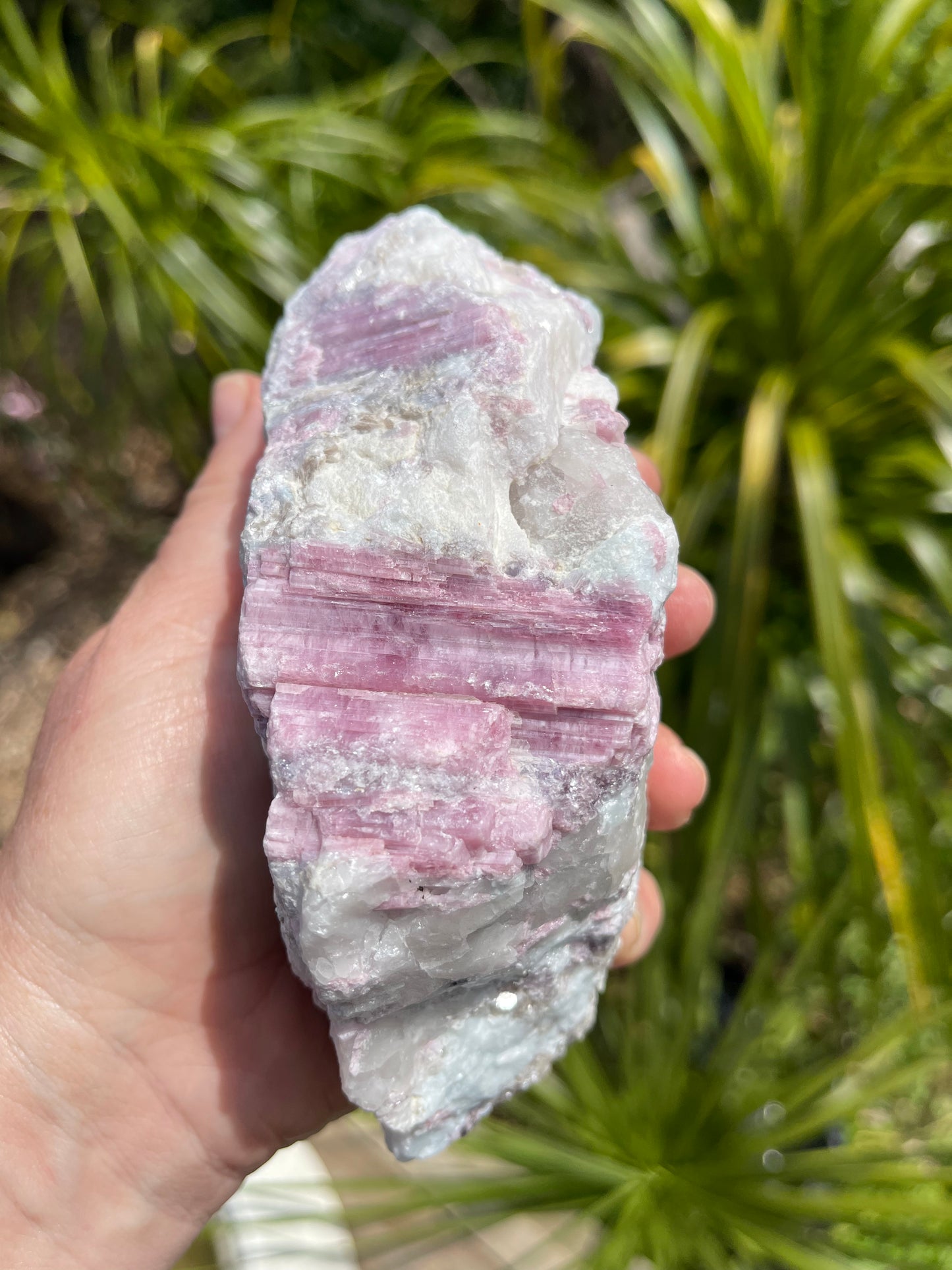 Pink Tourmaline, lepidolite and Muscovite in Quartz