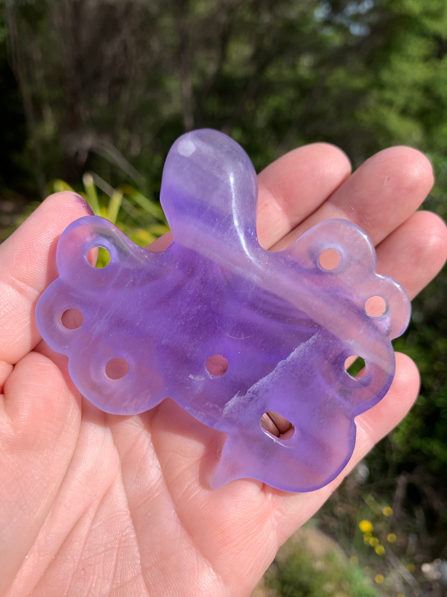 Purple Fluorite Octopus