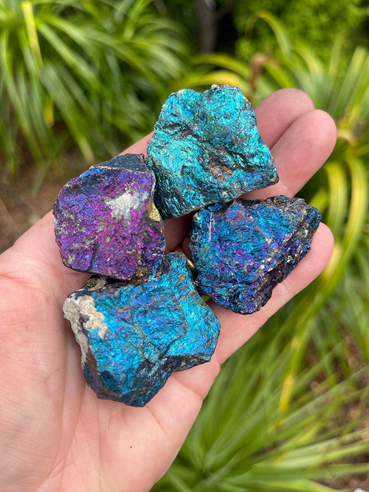 Peacock Ore/Chalcopyrite