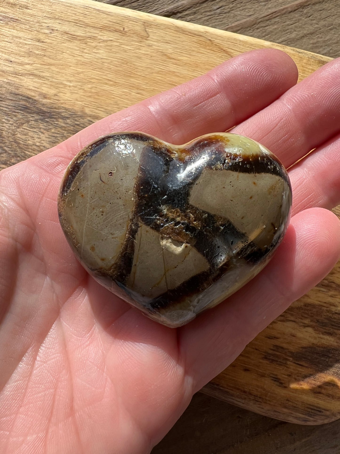 Septarian/Dragons Stone Heart