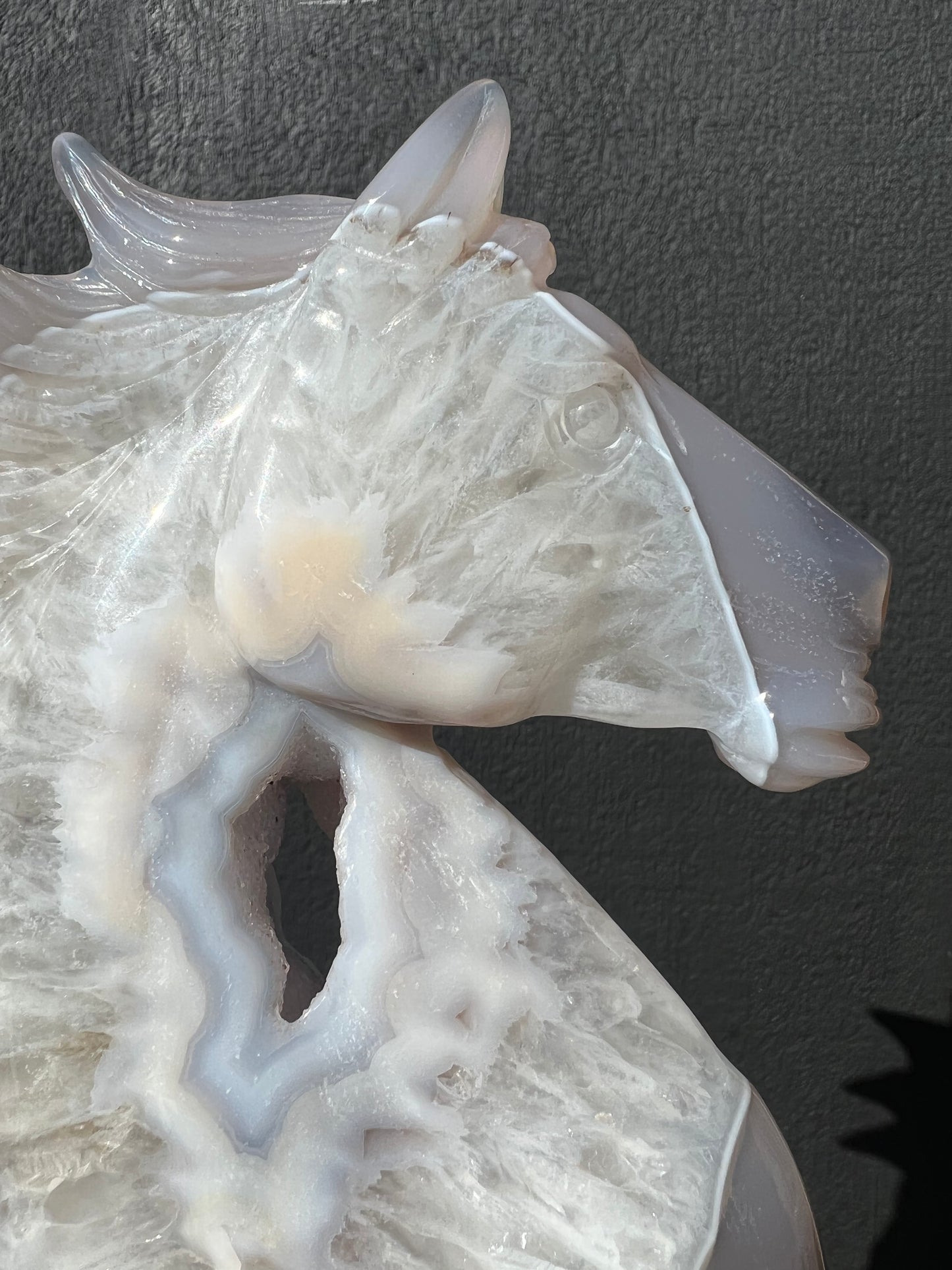 Blue Lace Agate Geode Horse Head