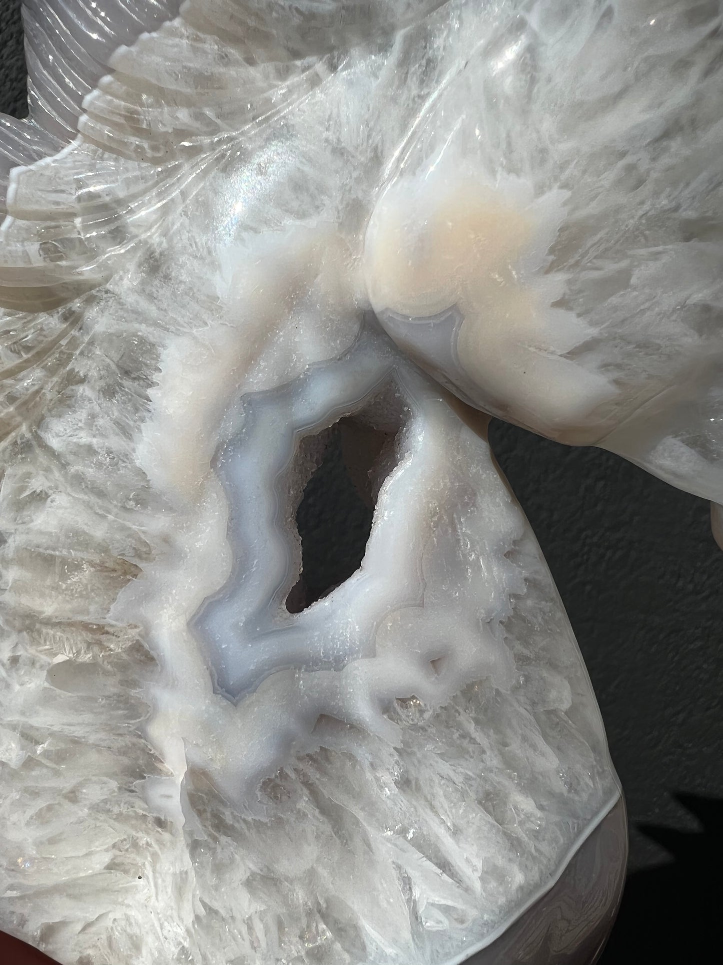 Blue Lace Agate Geode Horse Head