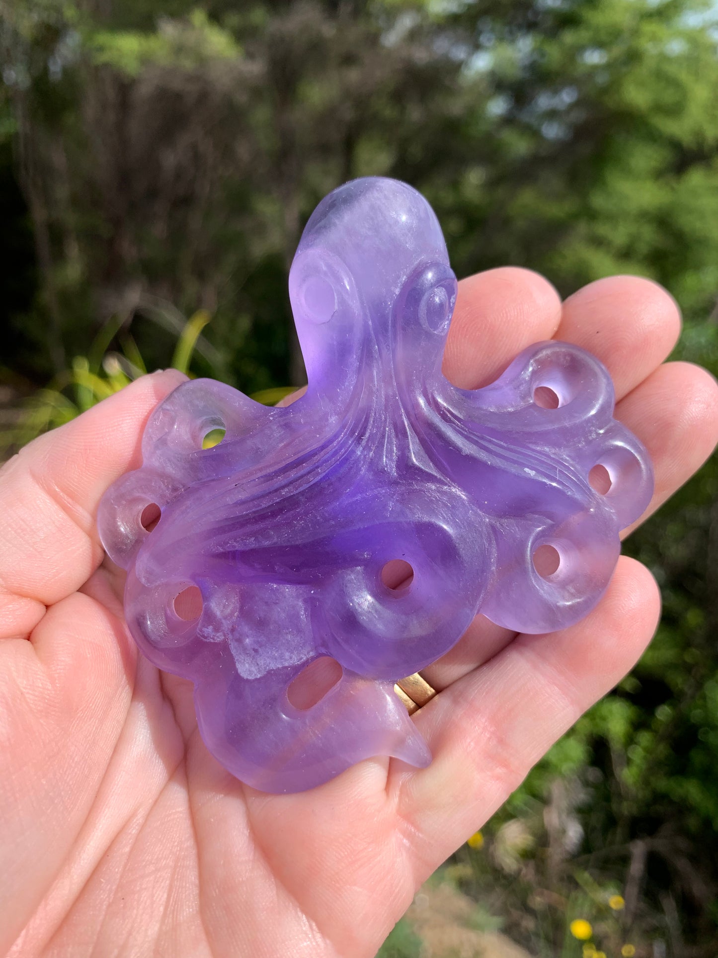 Purple Fluorite Octopus