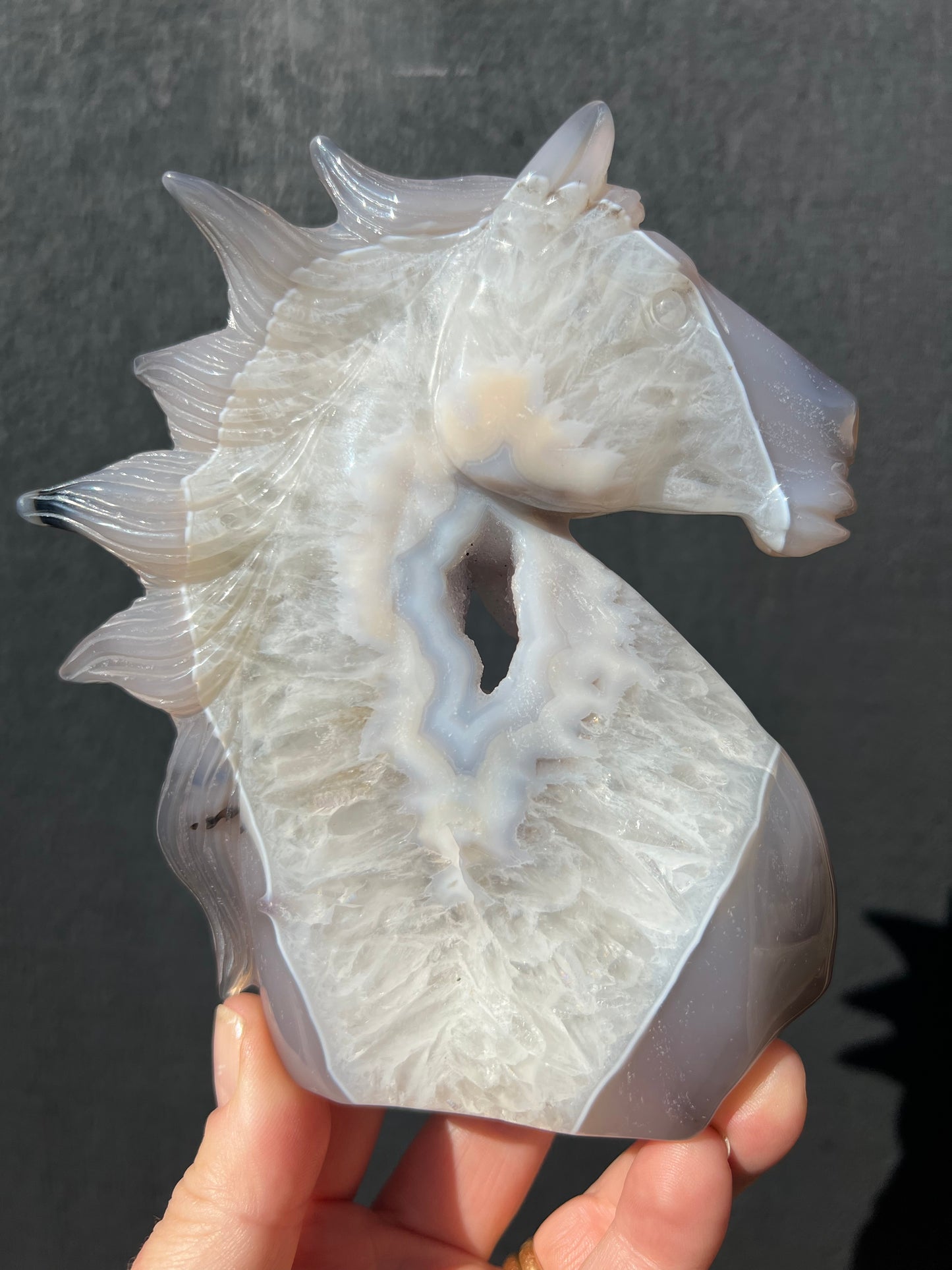 Blue Lace Agate Geode Horse Head