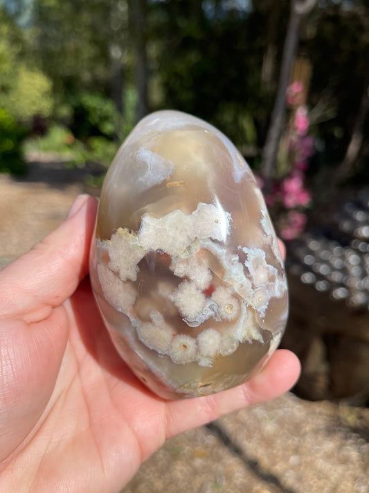 Cherry Blossom/Flower Agate Free Form