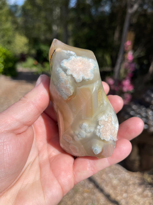 Cherry Blossom/Flower Agate Flame