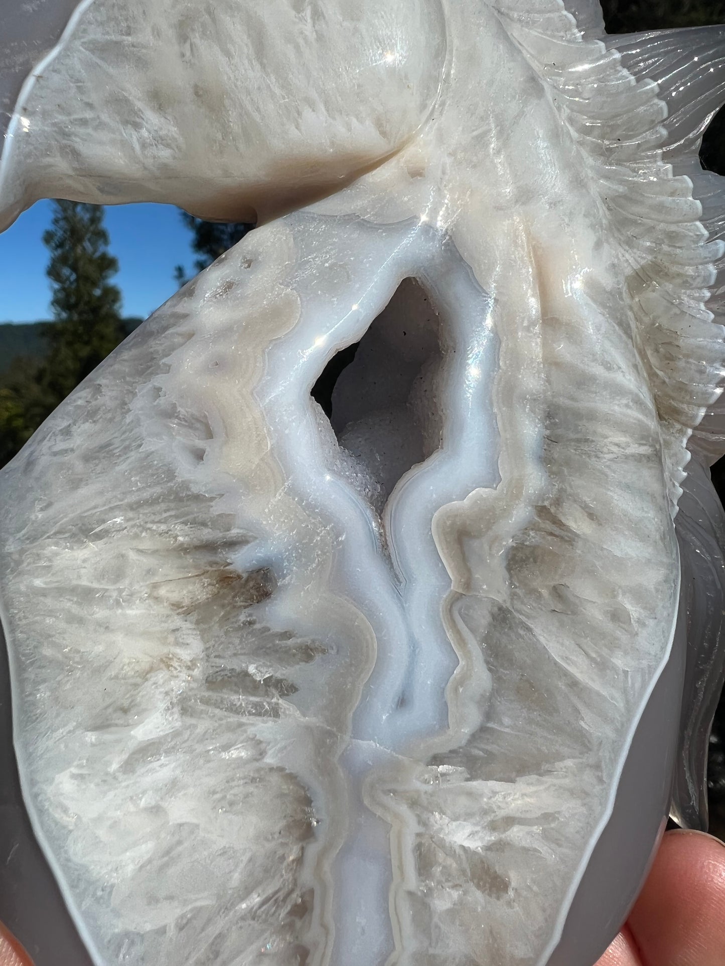 Blue Lace Agate Geode Horse Head