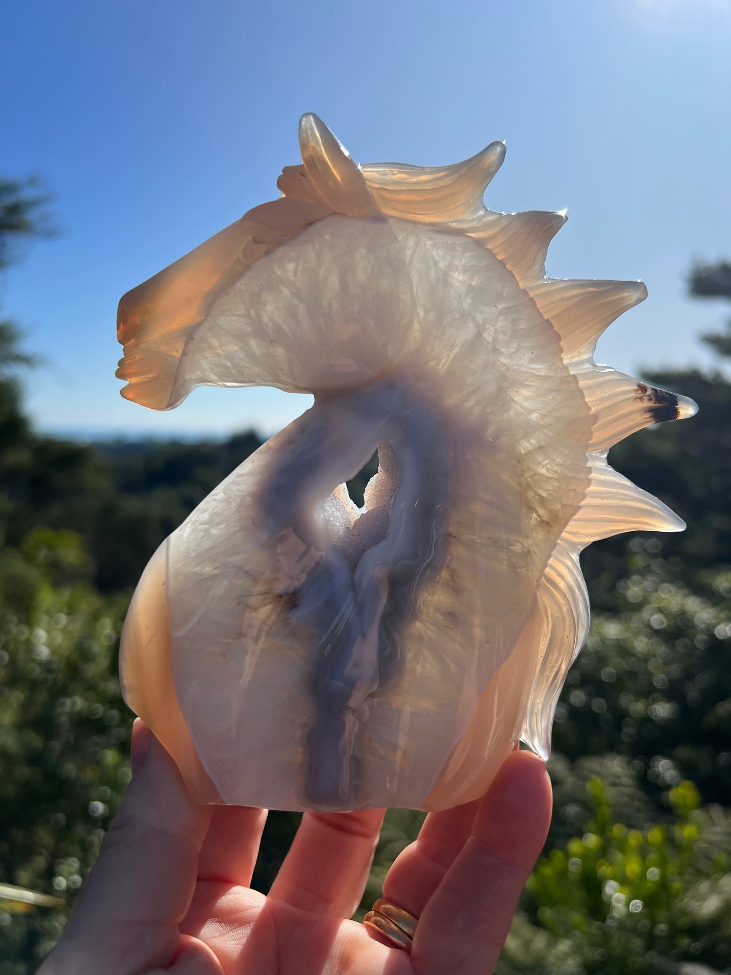 Blue Lace Agate Geode Horse Head